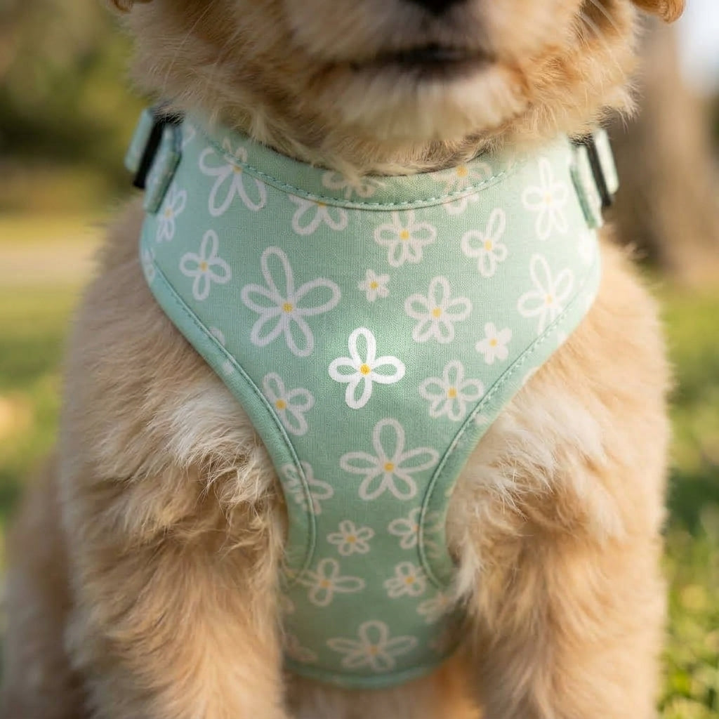 Mint Floral Daisy Harness
