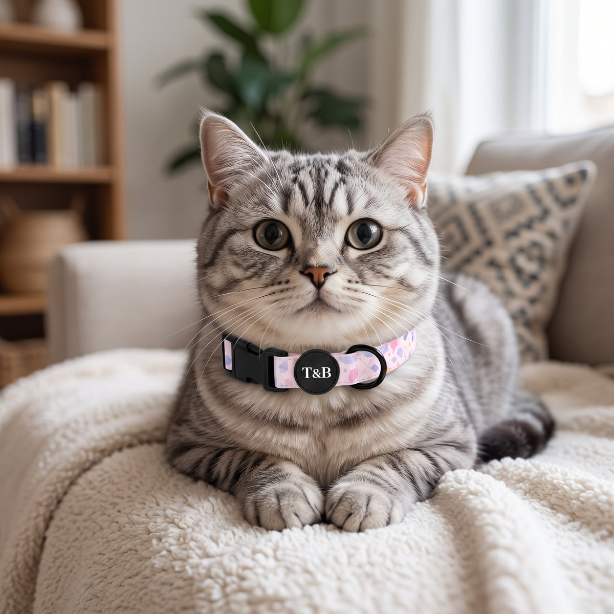 Pink Terrazzo Collar & Lead Bundle