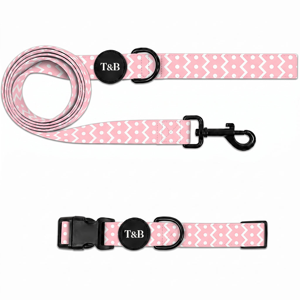 Pink Zig-Zag & Polka Dot Collar & Lead