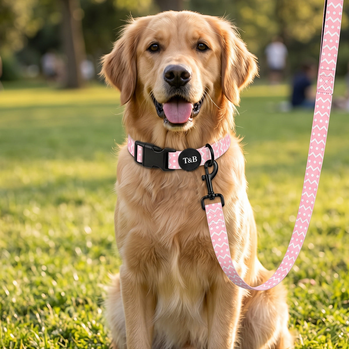 Pink Zig-Zag & Polka Dot Collar & Lead