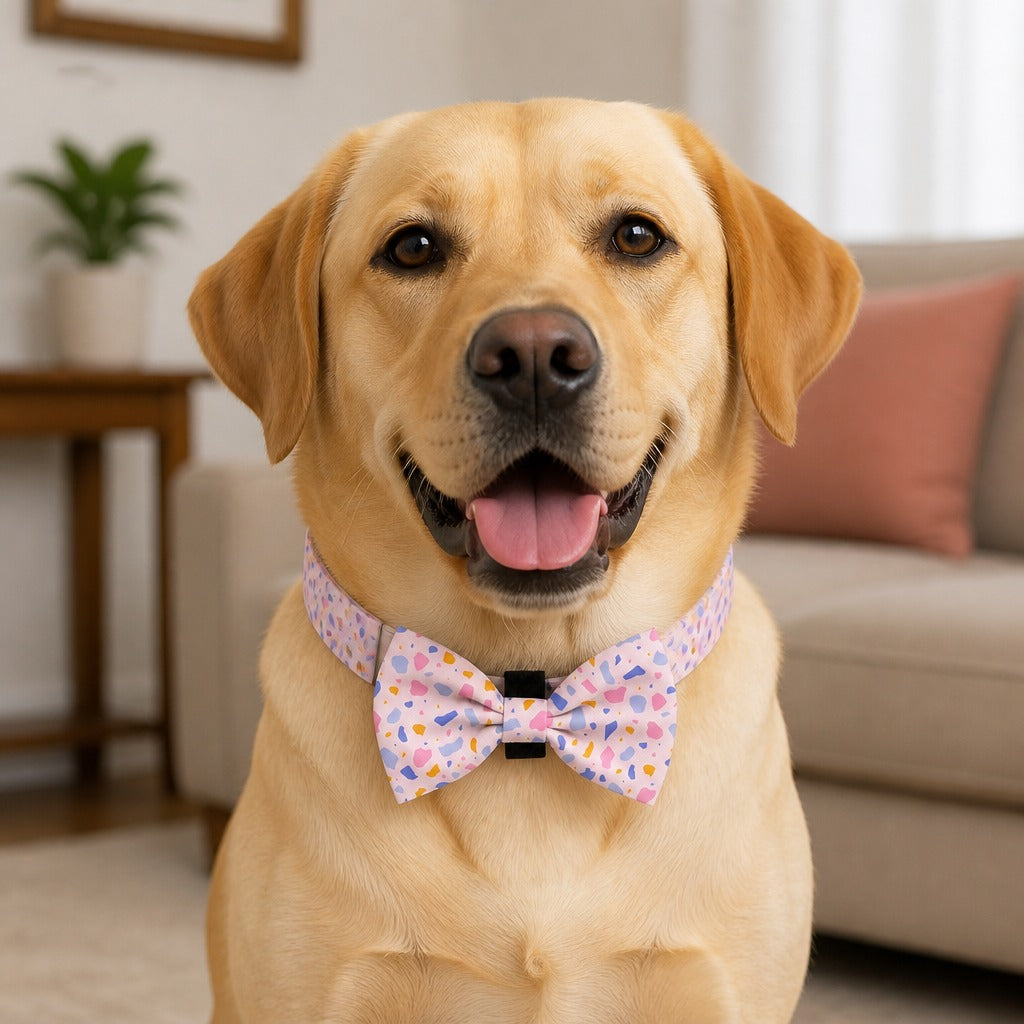 Pink Terrazzo Bow Tie