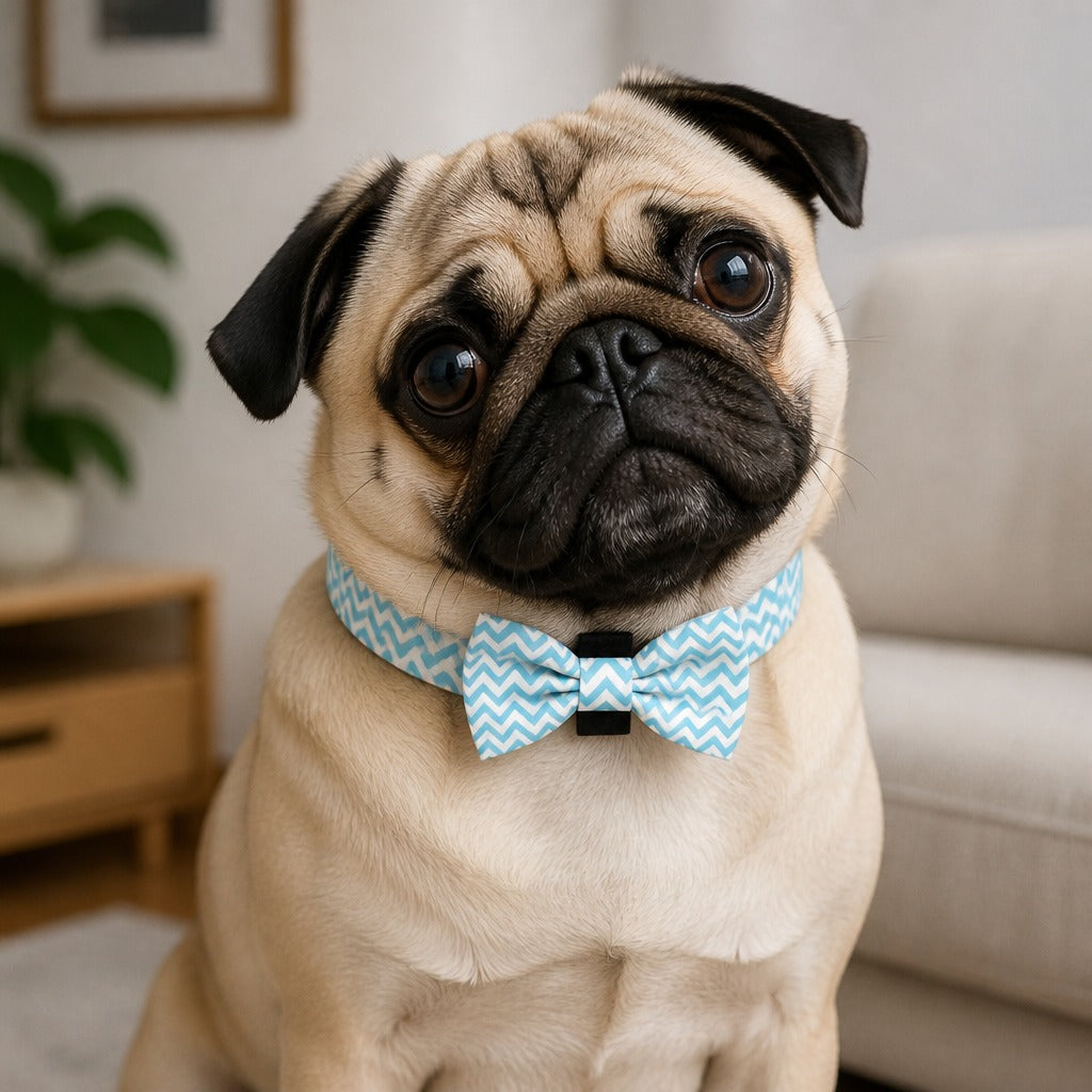 Sky Blue Chevron Bow Tie