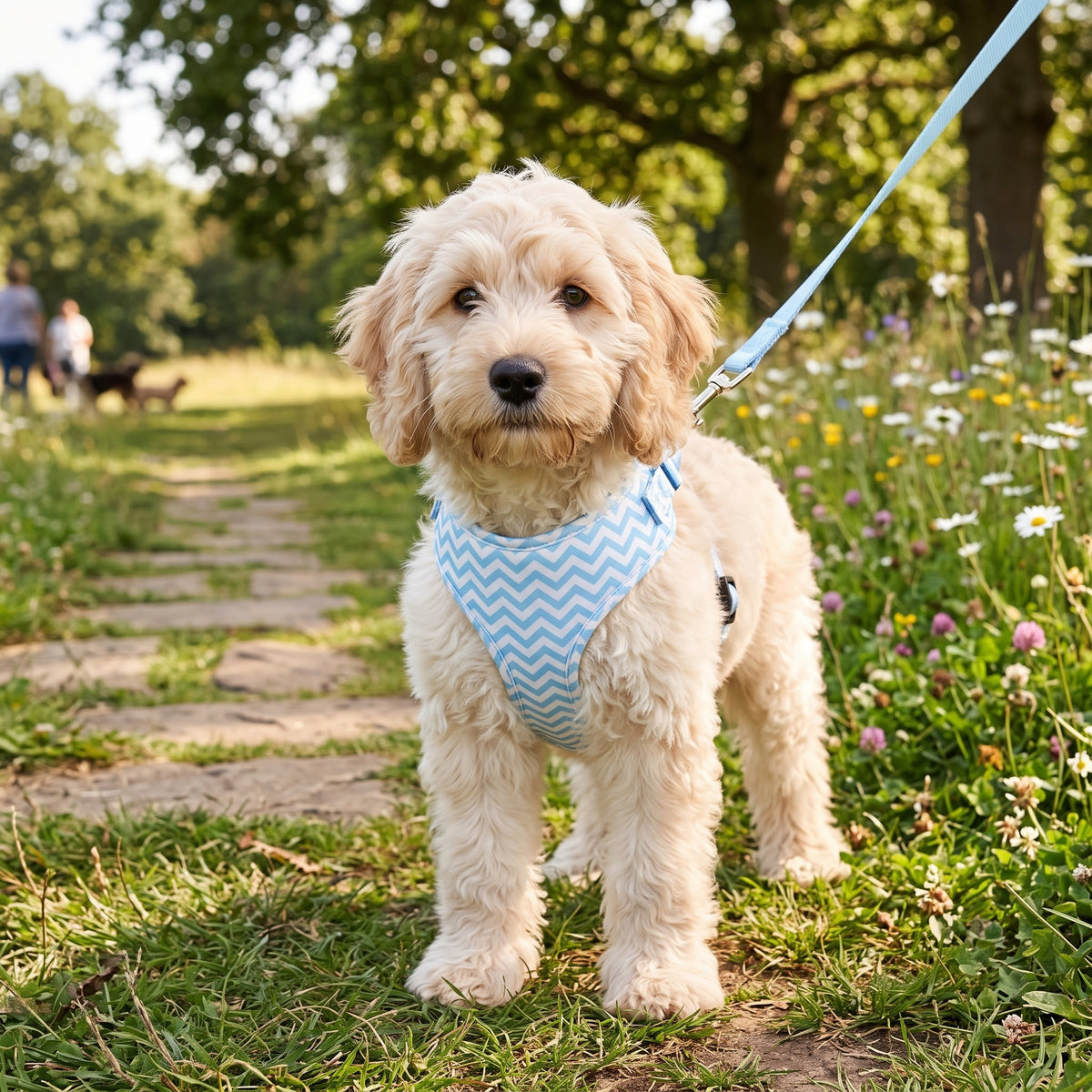Sky Blue Chevron Adjustable Harness