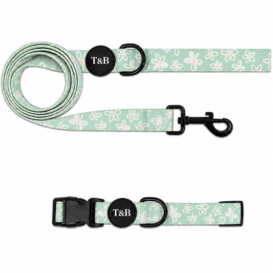 Mint Floral Daisy Collar & Lead Bundle