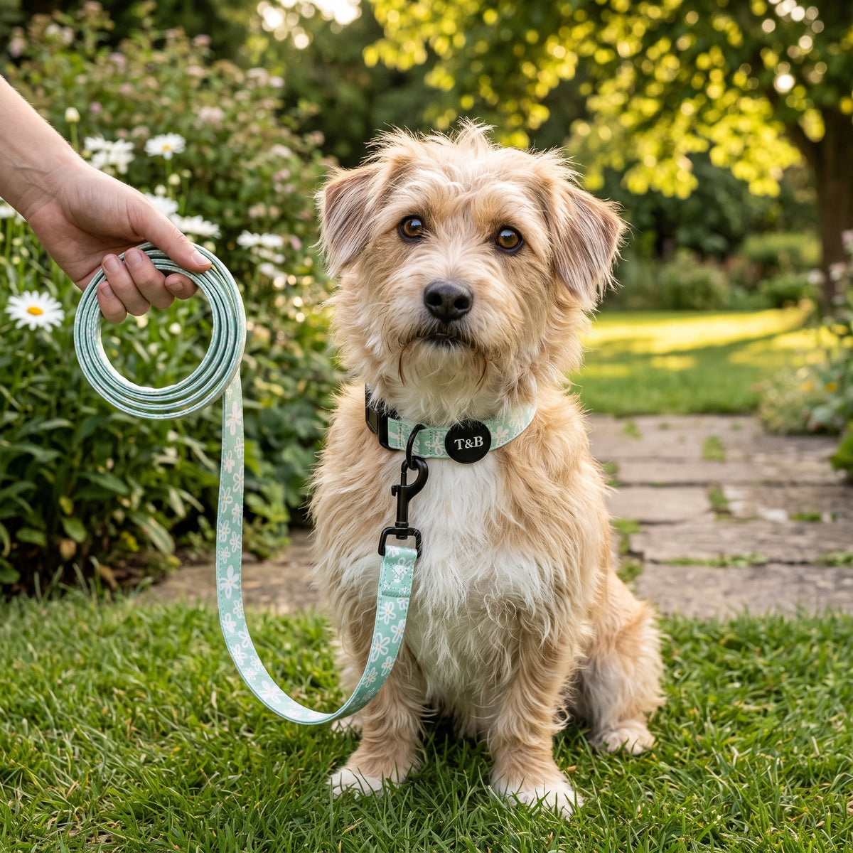 Mint Floral Daisy Collar & Lead Bundle