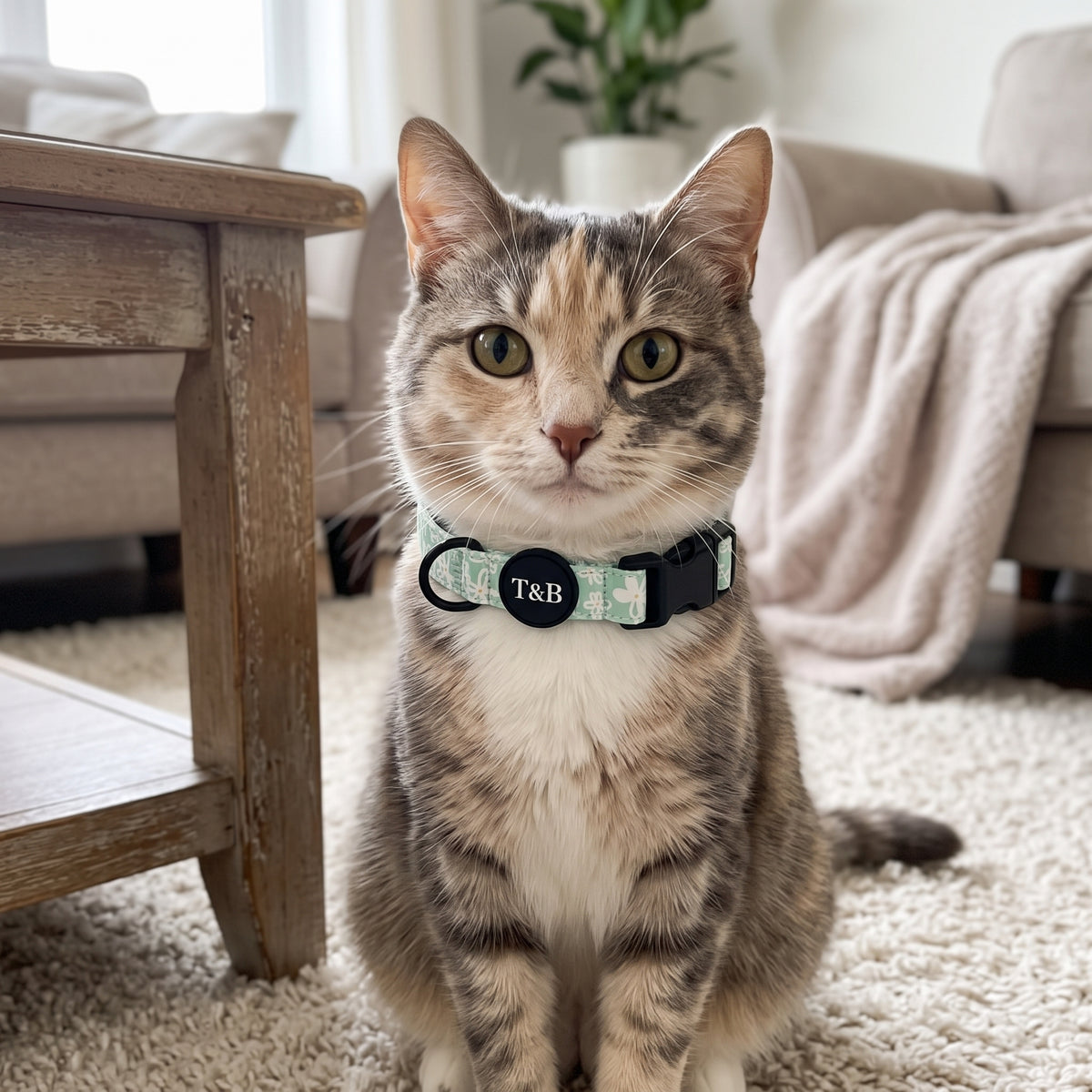 Mint Floral Daisy Collar & Lead Bundle
