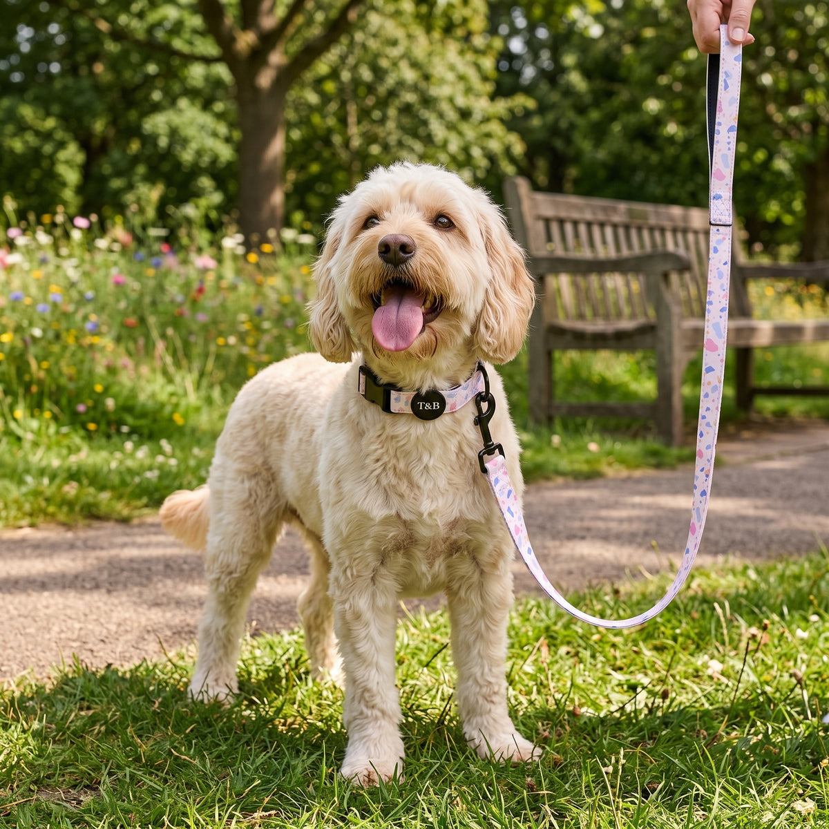 Pink Terrazzo Collar & Lead Bundle