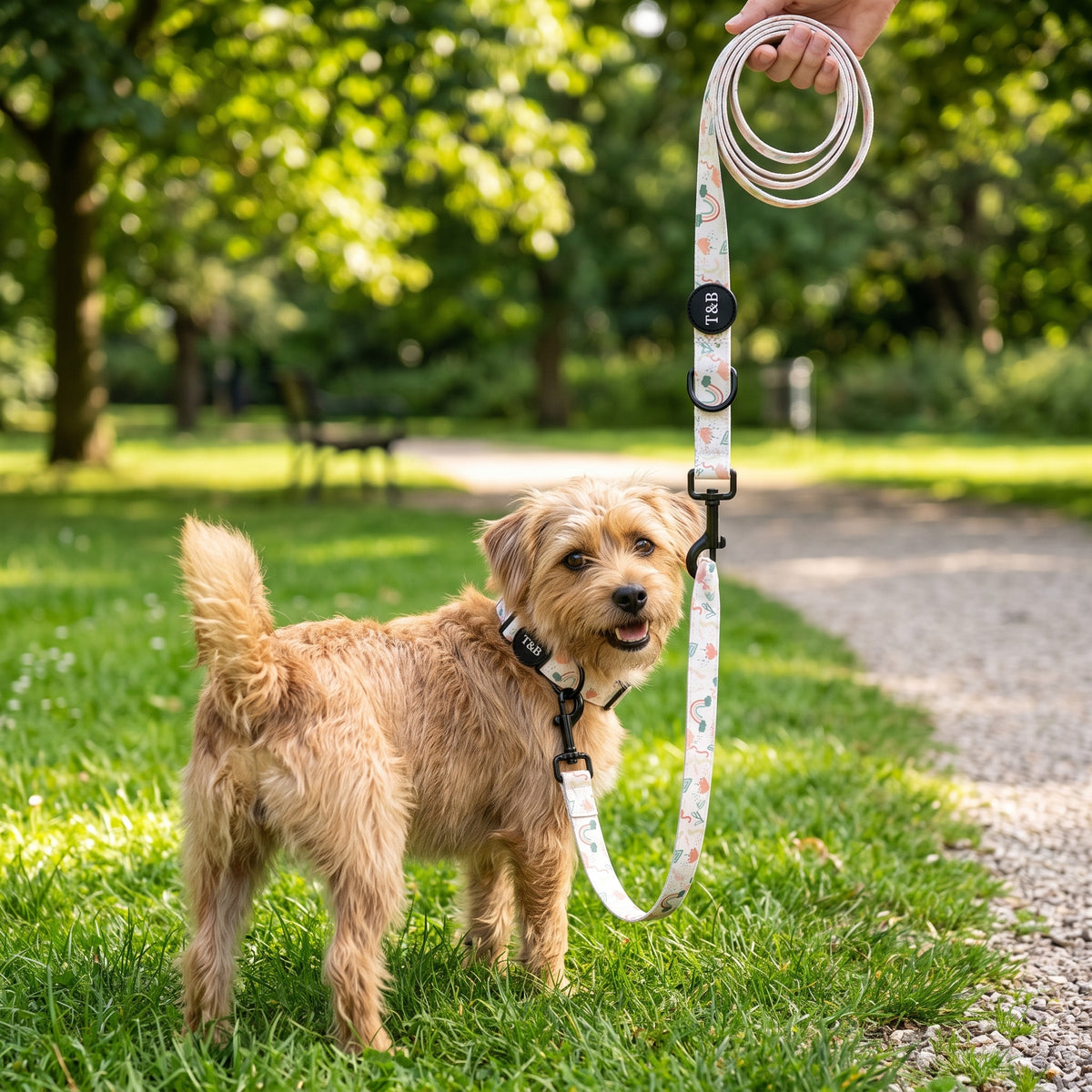 Soft Rainbow & Botanical Collar & Lead Bundle