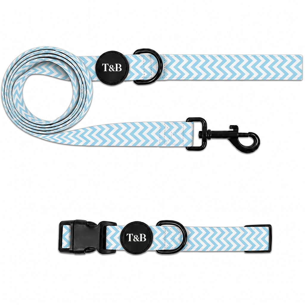 Sky Blue Chevron Collar & Lead Bundle