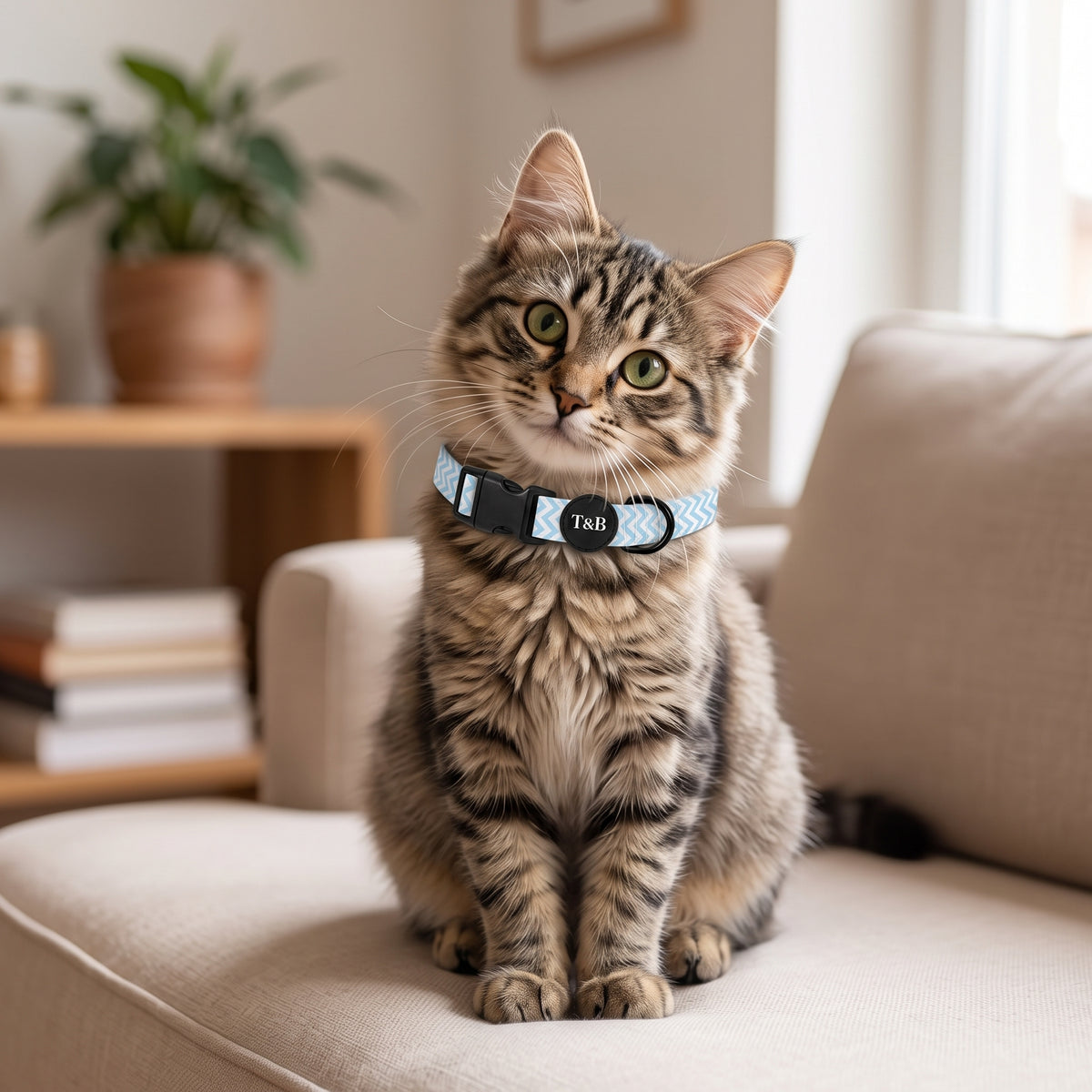 Sky Blue Chevron Collar & Lead Bundle